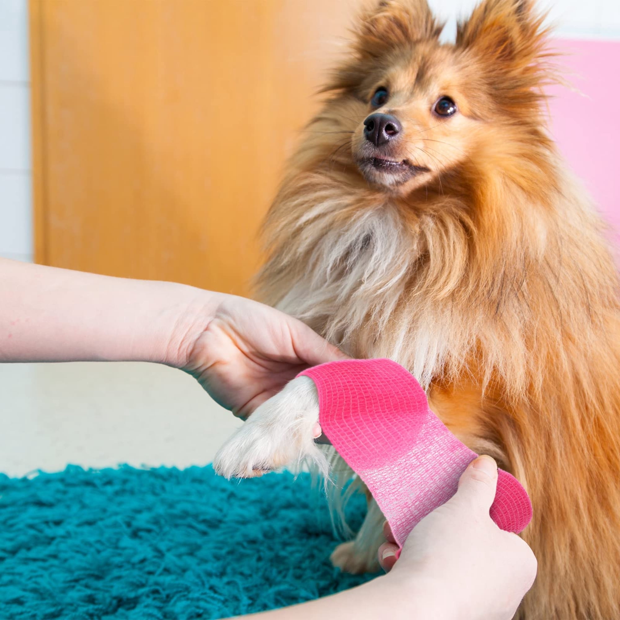 64 Rolls Self Adhesive Stretch Bandage Wrap 1 inch x 4.9 Yards, Adherent Cohesive Vet Tape for First Aid, Wrist and Ankle Swelling, Animals, Pets, Sports (16 Colors)