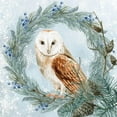 thumbnail image 3 of Allen, Kimberly 15x15 Black Modern Framed Museum Art Print Titled - Winter Owl 1, 3 of 5