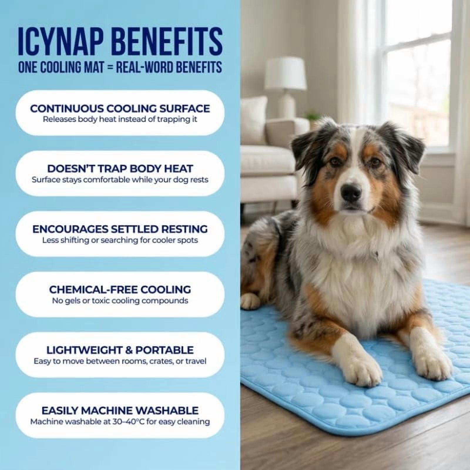 SWZEC PawLab Cooling Mat Original