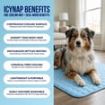 thumbnail image 6 of SWZEC PawLab Cooling Mat Original, 6 of 9
