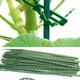 thumbnail image 4 of Matsuzay 30 piezas de bridas para cables para plantas, cuidado profesional de las plantas del hogar, correa de fijación, sujetador de cordón, Jardín y Patio, 4 of 6