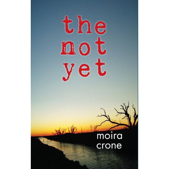 The Not Yet (Paperback)