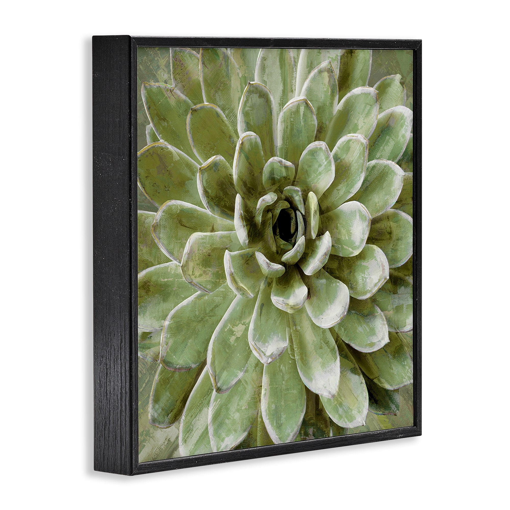 The Stupell Home Decor Collection Green Painted Botanical Succulent Bloom Framed Giclee Texturized Art, 12 x 1.5 x 12