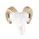 thumbnail image 3 of 2x Cráneo de animal de resina - Accesorios de decoración de acuarios y viveros no tóxicos para de mascotas Divertidos Fernando  Grandes decoraciones para acuarios, 3 of 8