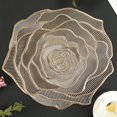 thumbnail image 4 of 6X Tapis de Repas Décoratif Rose Évidé, Tapis de Table en PVC, Résistant à l'Huile Imperméable à l'Eauw H1D3, 4 of 8