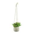 thumbnail image 4 of Sagebrook Home Ceramic 6" Hanging Planter, Green, Round, Ceramic, Contemporary, 6"H, Line, 4 of 8
