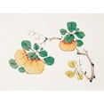 thumbnail image 2 of Zhengyan, Hu 32x25 White Modern Wood Framed Museum Art Print Titled - Page from Shi Zhu Zhai Orange Fruit, 2 of 4