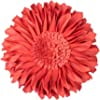 Orangered