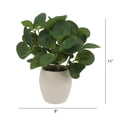 thumbnail image 2 of Mainstays 11-Inch Artificial Peperomia Plant in White Ribbed Glazed Ceramic Pot, 2 of 7