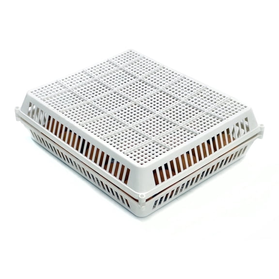 Hatching Time CT Series Divided 30 Chicken Egg Incubator with Easy Clean (2 Pack)