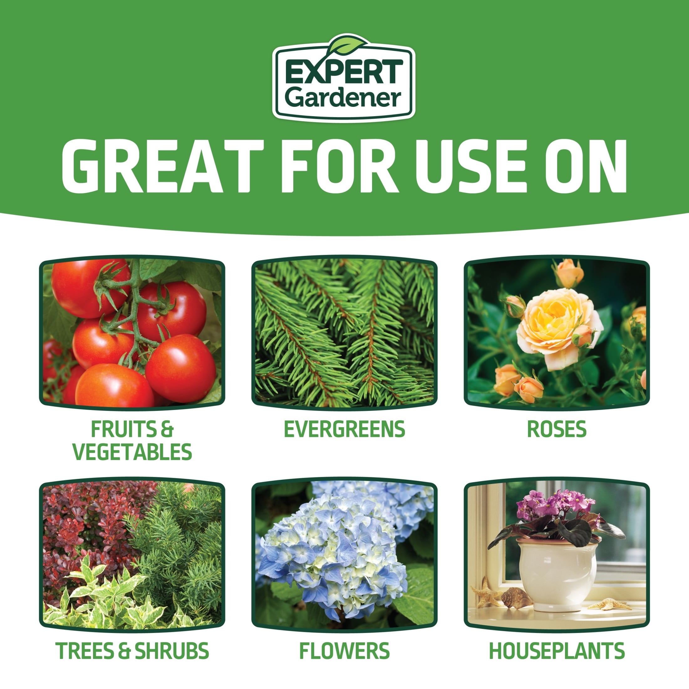 Expert Gardener All-Purpose Water Soluble Plant Food Fertilizer, 1.5 lb.
