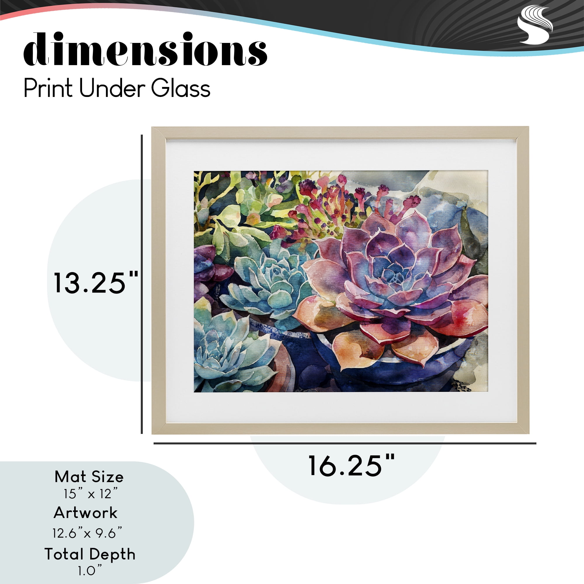 Stupell Industries Sun Kissed Succulents Birch Framed Print Under Glass, design by Svetlana Aleynikova
