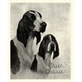 thumbnail image 2 of Vision Studio 12x14 White Modern Wood Framed Museum Art Print Titled - B and W Chien de Chasse, 2 of 4