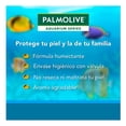 thumbnail image 2 of Jabón Líquido para Manos Palmolive Decor Series Aquarium Remueve Bacterias 221 ml, 2 of 4