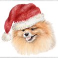 thumbnail image 3 of CafePress - Christmas Pomeranian Sweatshirt - Crew Neck Sweatshirt, 3 of 4
