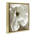 thumbnail image 4 of Stupell Industries Blooming Magnolia Petals Plants & Flowers Painting Gold Floater Framed Canvas Art Print Wall Art, 18 x 18, 4 of 10