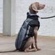 thumbnail image 1 of Ropa para perros grandes chaleco impermeable para perros grandes chaqueta cálida Wdftyju para exteriores abrigo para Perros Bulldog Francés Otoño e Invierno, 1 of 8