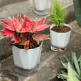 thumbnail image 7 of AYYUFE Breathable Holes Visible Water Level Flower Pot Lazy Automatic Water-Absorbing Flowerpot Garden Supplies, 7 of 7