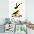 thumbnail image 3 of Designart 'Ancient Bird I' Traditional Framed Art Print, 3 of 4