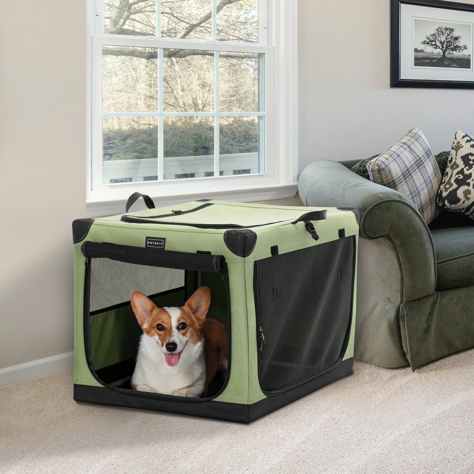 PETSFIT (Han&Momo) Portable Soft Collapsible Dog Crate