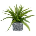 thumbnail image 3 of Northlight 20" Boston Fern Artificial Plant in Weathered Square Planter - Green/Gray, 3 of 6