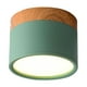 thumbnail image 1 of Lámpara de techo LED de aluminio para sala de estar Verde, 1 of 4