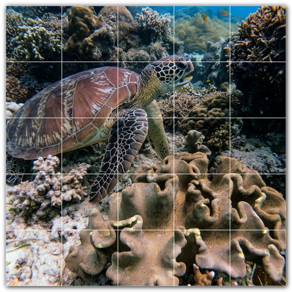 Picture-Tiles.com: Coral Ceramic Tile Wall Mural WAL500417-55L. 40"W x 40"H using (25) 8" x 8" Ceramic Tiles-Satin Finish