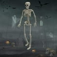 thumbnail image 1 of 15 Inch Skeleton Halloween Decorations - Posable Skeleton With Movable Joints, Small Plastic Full Body Skeleton For Halloween, Graveyard, Haunted Hous, 1 of 5