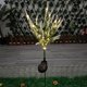 thumbnail image 5 of ¡Descuentos Directos!, Lámpara solar con forma de flor de colza, luz LED para exteriores, jardín y patio Akmoler, 5 of 9