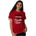 thumbnail image 4 of Puerto Rican PR Pride Se Levanta Men's Graphic T Shirt Tees Brisco Brands M, 4 of 5