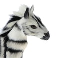 thumbnail image 3 of figatia Simulation Faux Zebra Figurine Animal Model for Kids Gift Home Decor, 3 of 8