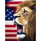 thumbnail image 1 of Diamond Painting 5D DIY Full Round Drill US Flag Animal Kit Decoración (sz4212) Hugtrwg Para estrenar, 1 of 9