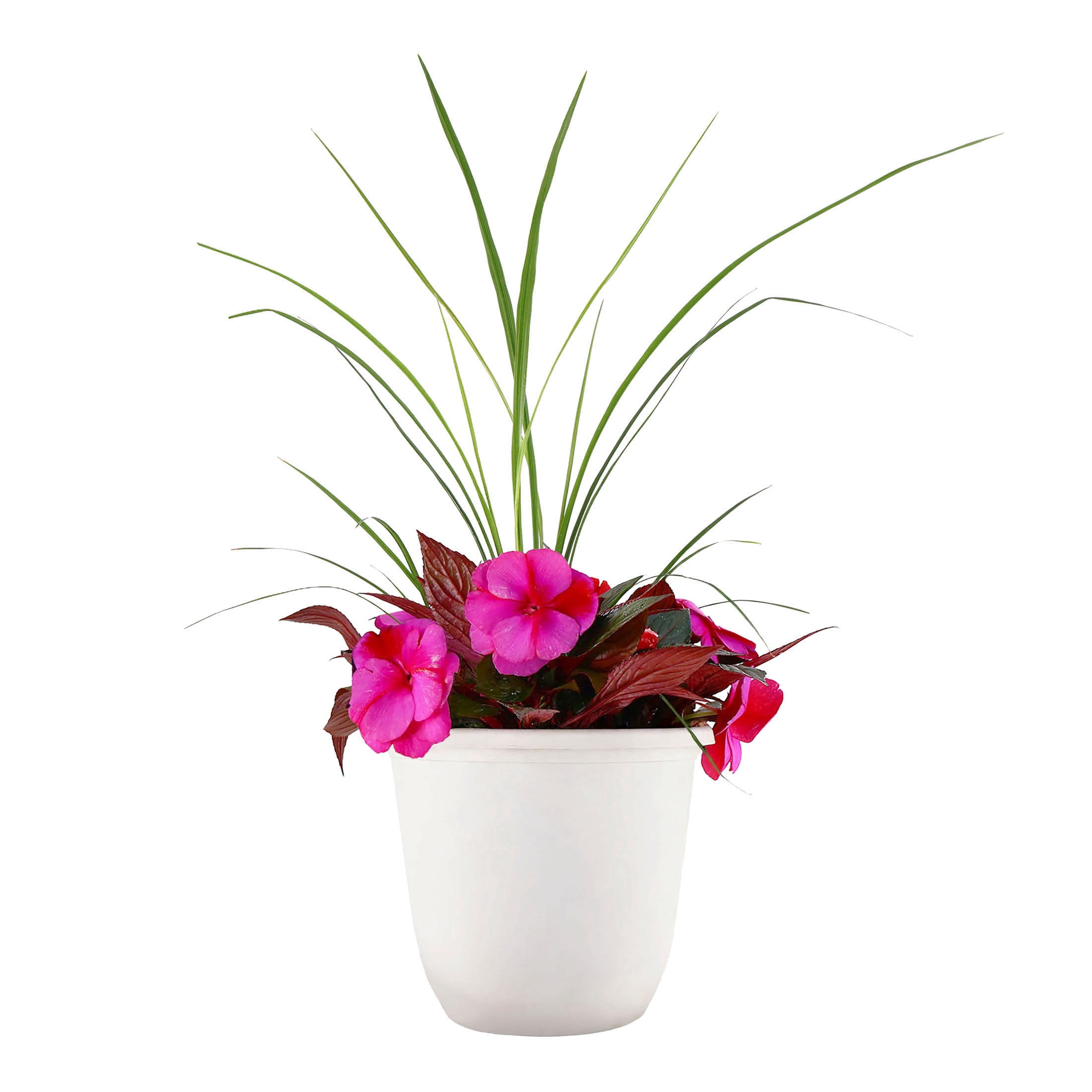 Expert Gardener 18