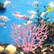 thumbnail image 2 of Adorno de coral artificial para acuario, decoración de plantas de acuario de plástico para paisaje de acuario (rosa, grande), 2 of 5