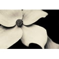 thumbnail image 2 of Horsfall, Gary 14x11 Black Ornate Wood Framed with Double Matting Museum Art Print Titled - Dogwood Flower, 2 of 4
