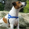 thumbnail image 3 of E-CICHLID WHOLESALE DOG HARNESS, 3 of 6