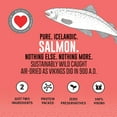 thumbnail image 5 of Icelandic+ Mini Fish Chips: Salmon 2.5oz - Dog Treats, For Training & Small Dogs, 2 Ingredient Air-Dried Crunchy Chips, 5 of 6