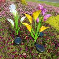 thumbnail image 3 of LCXmlly Waterproof Garden Lamp Auto On/Off Solar Garden Lights Waterproof Color Changing Light for Landscaping, 3 of 7