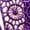 Purple, variant on RANJIE Lingerie for Women Breathable Thongs Lace Bikini Stretch Ladie Brief Thong Underwear Soft Women's Panties,Purple