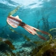 thumbnail image 4 of And Attractants Squid Trap Luminous Soft Rigged 15cm 55 6g Trolling For Grouper Sea Mackerel With Eight Styles Gear For Outdoor Angling, 4 of 5