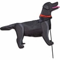 thumbnail image 1 of Premier Kites Windicator Weather Vane - Laboratoire Noir, 1 of 3