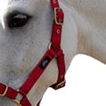 thumbnail image 3 of Hy Holly Fully Adjustable Head Collar, 3 of 4