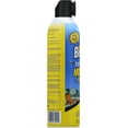 Bengal Yard and Patio Mosquito Fogger, Kills Spiders and Prevents