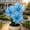 C, variant on Premium Brilliant Amaryllis — Cold-Hardy & Shade-Tolerant — Perfect for Gardening Beginners(Non-Artificial)