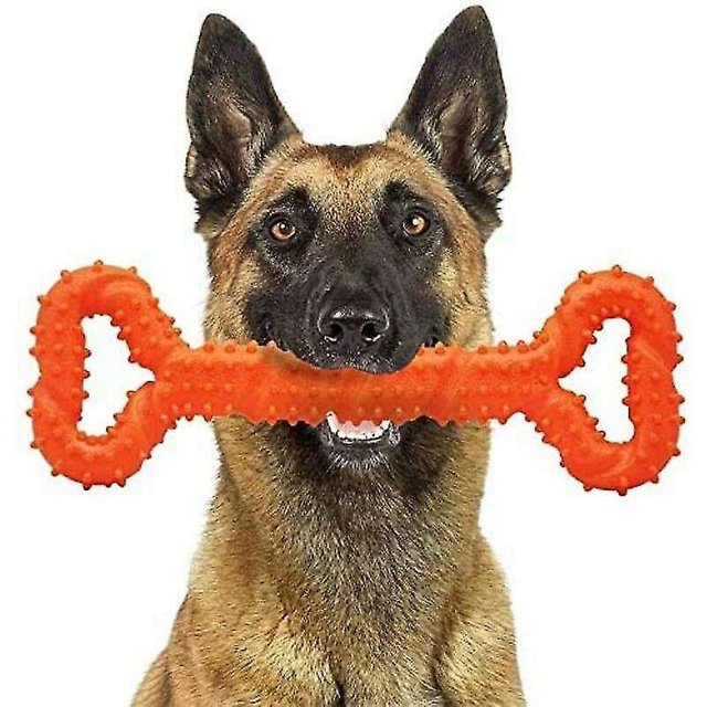 Juguete agresivo para masticar para perros, Healwe duradero para cambiar los dientes de medianos y grandes