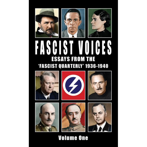 Rise of fascism essay image