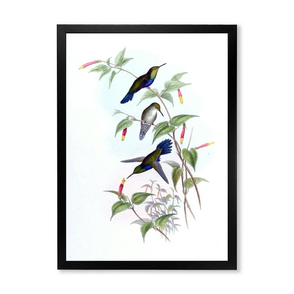 Designart 'Ancient Hummingbird I' Traditional Framed Art Print