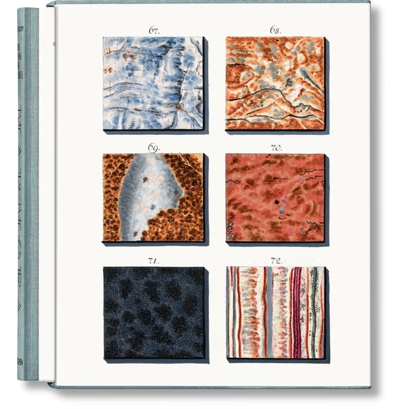 Pre-Owned Jan Christiaan Sepp. the Book of Marble (Hardcover) 383659434X 9783836594349