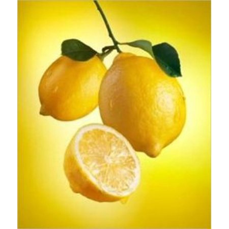 How to Prune a Lemon Tree - eBook