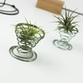 thumbnail image 4 of Bgsha Air Plant Container Iron Frame Bracket Suitable For Plant Display And Home Decor, 4 of 10